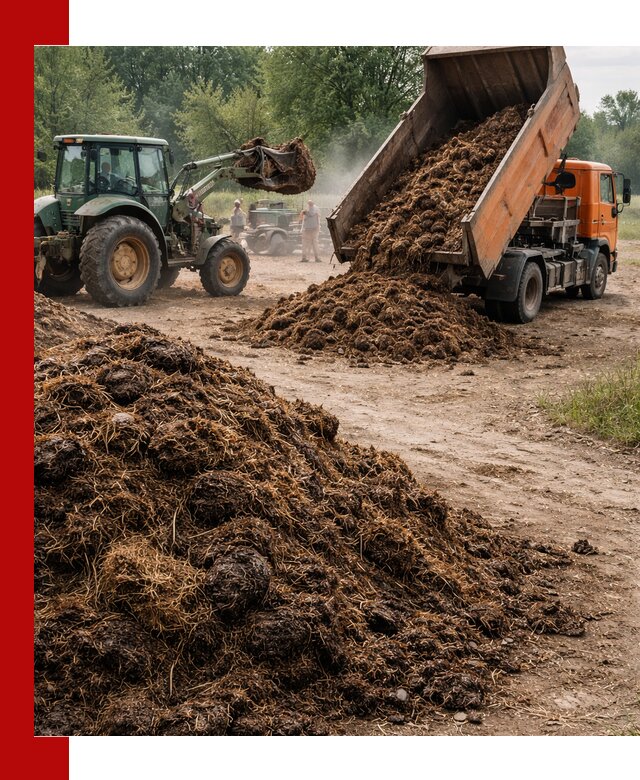 Доставка навоза самосвалами в Павловском Посаде для сельхозпотребностей