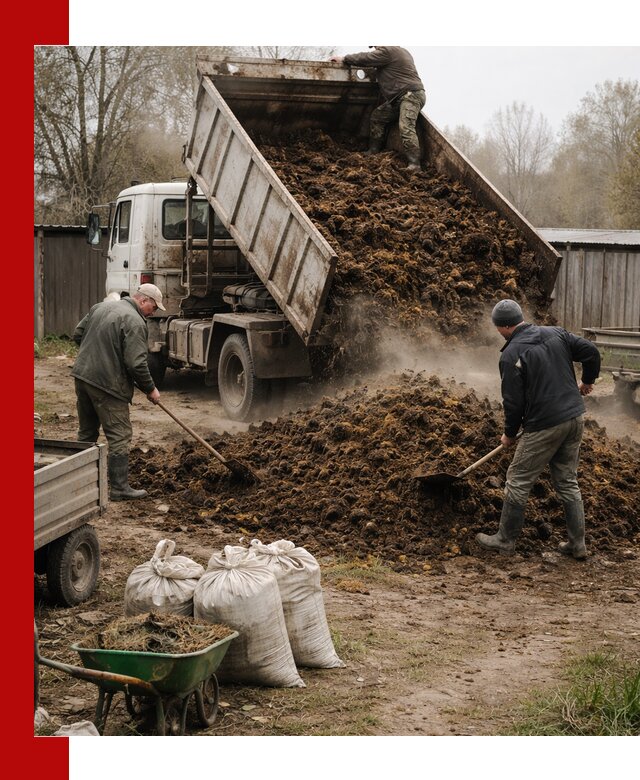 Доставка коровьего навоза самосвалом в Павловском Посаде
